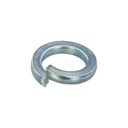 Proftec veerring VZ DIN127B M8 (100)