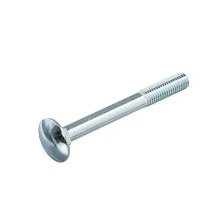 Proftec slotbout + moer VZ 4.8 DIN603/555 M6x50 (50)