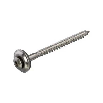 Dak & Gevel Spenglerschroef RVS-A2 LK met EPDM ring 15mm TX-20 4.5x50 (100)