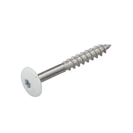 Dak & Gevel kleurkopschroef RVS-A2 wit RAL9010 4.8x25 (50)