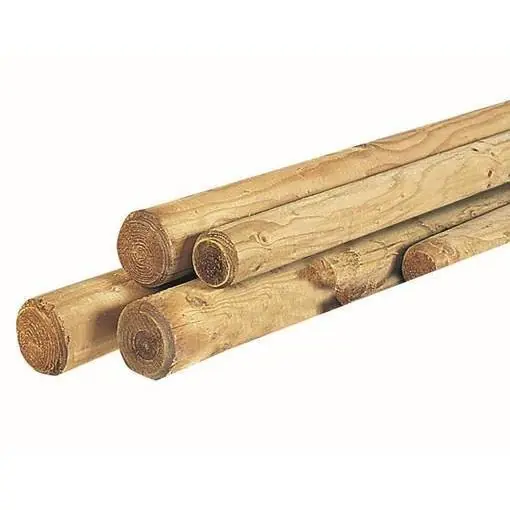Ronde paal 6x100 cm. 1 zijde gepunt