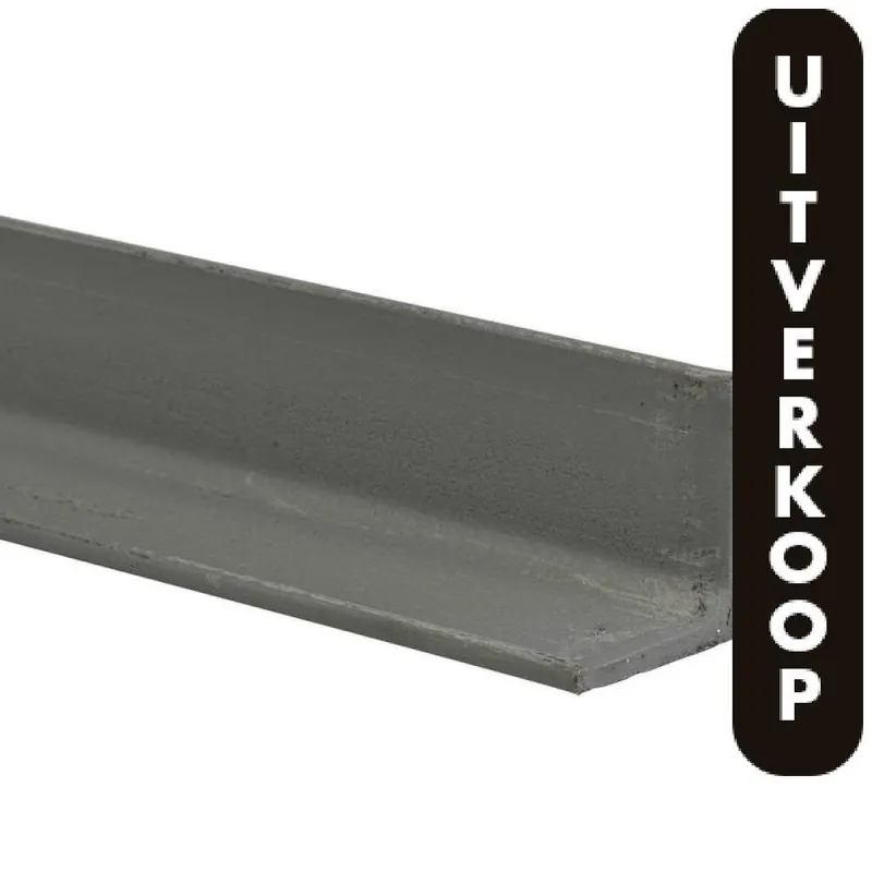 Hoekprofiel ijzer 25x25mm 100 cm.