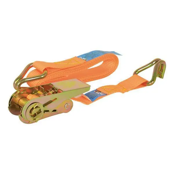 Carpoint Spanband met Ratel en Haken 5 Meter
