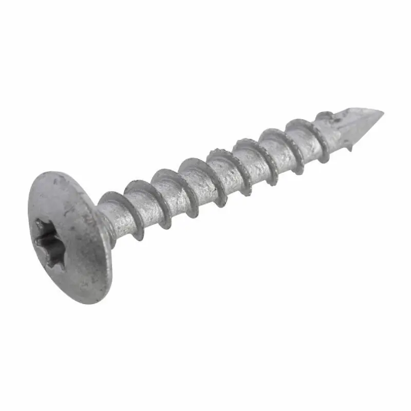 Dynaplus Tuinbeslagschroef AR-Silver OVK ZWARTE KOP TX-30 6.0x40 (50)