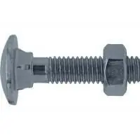 Home-fix slotbout VZ 4.6 + moer DIN603/555 M5x40 (12)