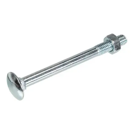 Home-fix slotbout VZ 4.6 + moer DIN603/555 M6x40 (40)