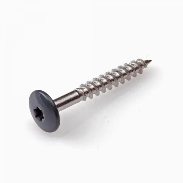 Home-fix kleurkopschroef RVS-A2 TX-20 wit ral9010 4.8x38 (8)