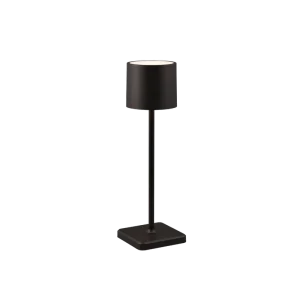 Reality  Tafellamp  Fernandez incl.1x1W LED/100Lm/2700 - 6500K