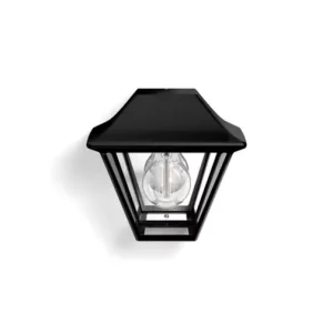 Wandlamp Philips Alpenglow zwart 1x42W 230V