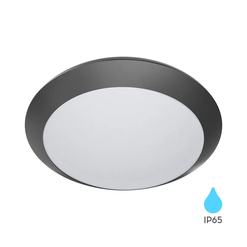 Braytron Ceiling Light NAPOLI 1xE27 PC Grijs IP65