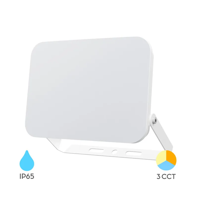 Braytron 50W LED Bouwlamp Wit 3CCT IP65