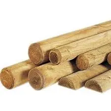 Woodvision Ronde paal, diam. 8x250 cm cilindrisch gefreesd 1 zijde gepunt 1 zijde gekroond