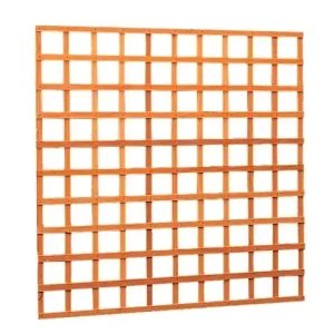 Woodvision Hardhouten trellis rechthoek 40x180 cm