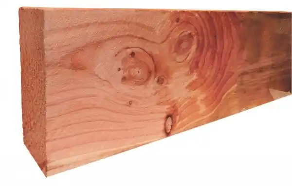 Douglas geschaafde gording gedroogd 4.5x16x300 cm blank