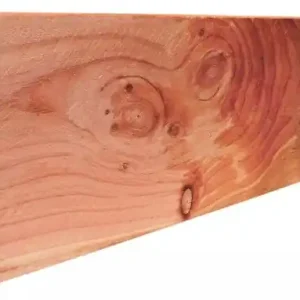 Woodvision Douglas geschaafde gording 4,5x16,0x400 cm, onbehandeld