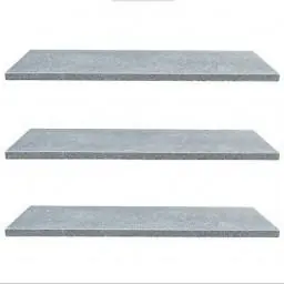 Vijverrand bluestone 100x30x3 cm gezoet