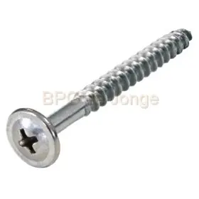 RVS schroeven voor sidings bolkop 4,5x52 C07 doos a 100 stuks