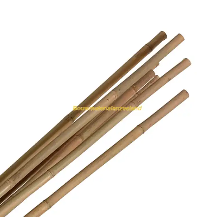 Bamboestok 180cm naturel 3 stuks