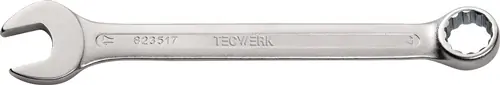 RING-STEEKSLEUTEL SW 21 MM LENGTE 250 MM VORM A CHROOM-VANADIUMSTAAL TECWERK