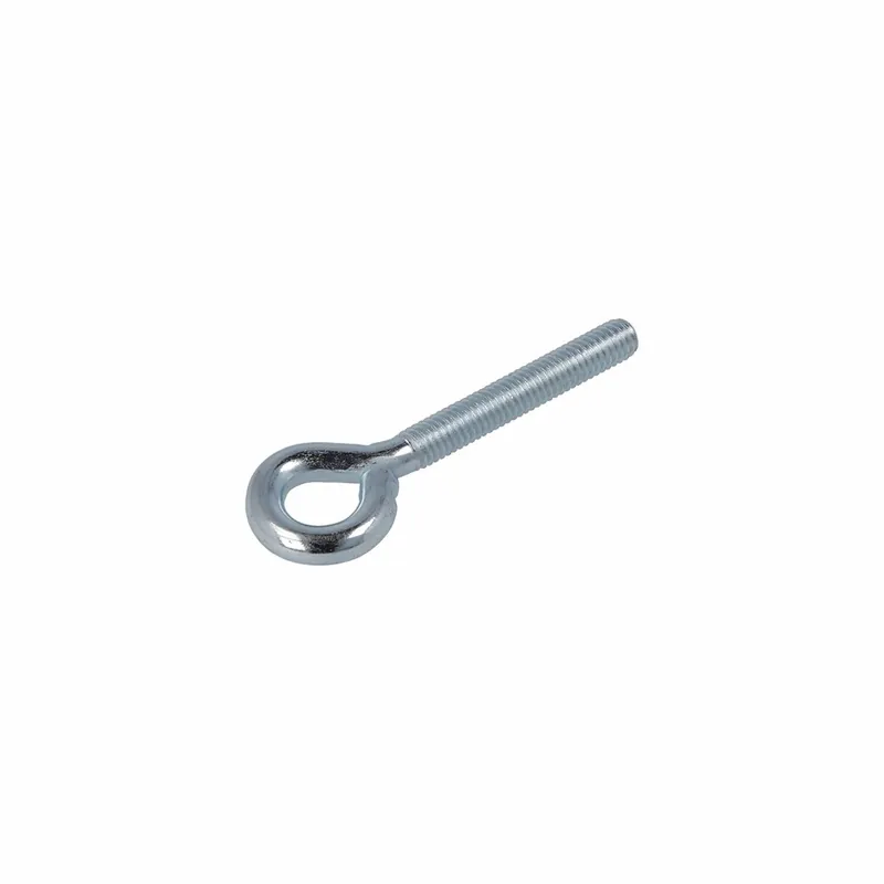 SCHROEFOOG VZ M5X40X8 (100)