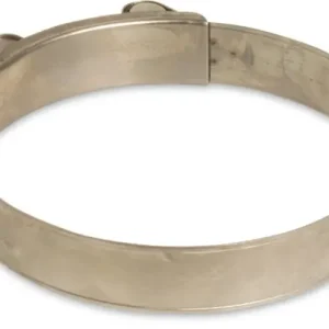 PROFEC SLANGKLEM RVS 304 17 MM X 19 MM TYPE W4 SUPER 18 MM