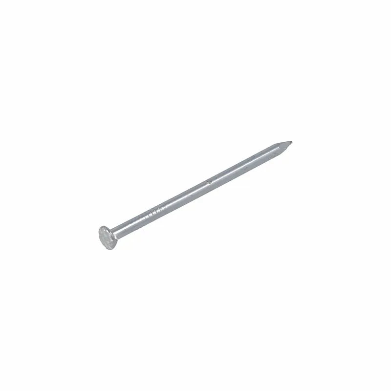 HOMEFIX DRAADNAGEL VZ PK 2.4X50 (100GR)