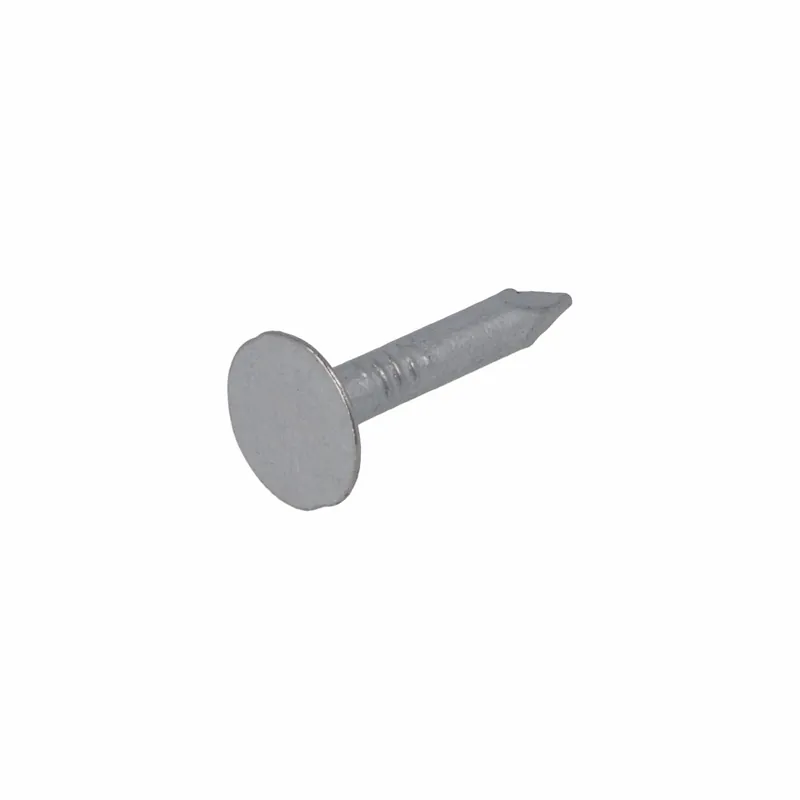 HOMEFIX ASFALTNAGEL VZ 3.0X20 (100GR)