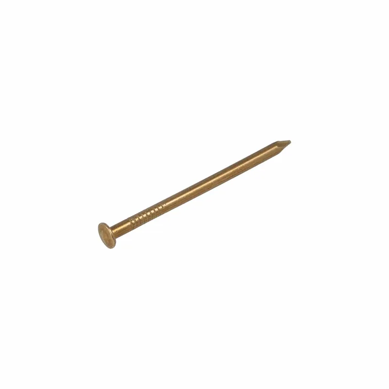 HOMEFIX DRAADNAGEL MESSING BB 1.6X25 (40GR)