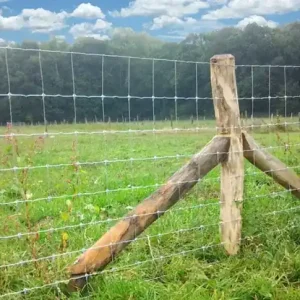 Schapengaas Zwaar op rol (50m¹)