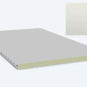 Wandpaneel, 60/1170 WZ-LL, kleur 9002 polyester