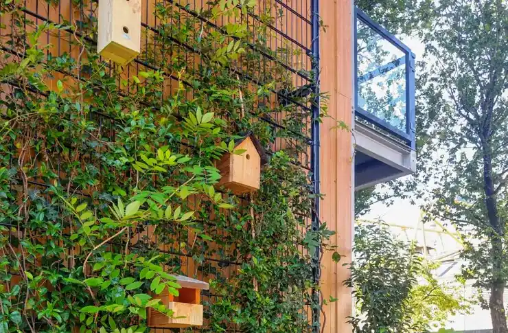 Groene wand systeem, hoogte 2110 mm