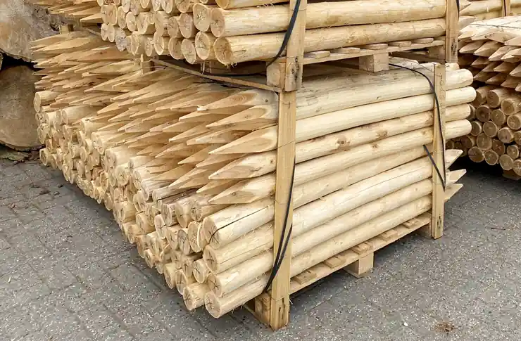 Robinia Palen 10/12 - Gepunt en Ongeschuurd