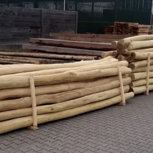 Robinia Palen 14/16 - Spintvrij en Geschuurd