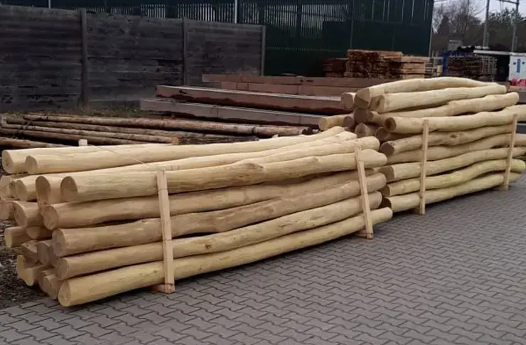 Robinia Palen 14/16 - Spintvrij en Geschuurd