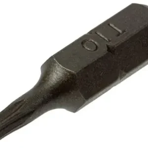 1017324 - TORX SCHROEFBIT STAAL ONBEHANDELD 2 ST T 10