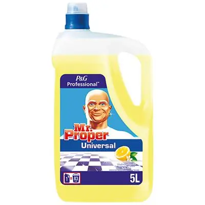 1048810 - MR.PROPRE ALLESREIN.CITROEN 5L