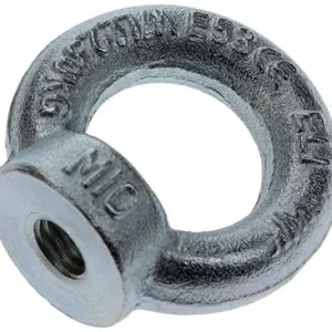1008469 - MACK 1 RINGMOER DIN 582 M10 VERZINKT