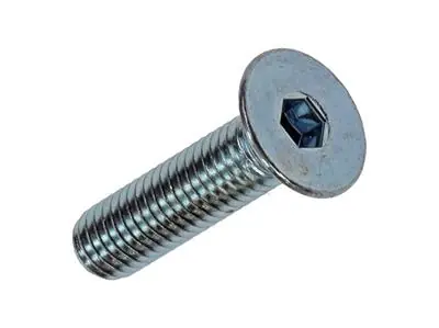 1017657 - BINNENZESKANT BOUT VERZ. KOP VERZ. 10ST M5X20