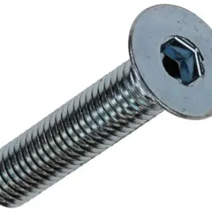 1017659 - BINNENZESKANT BOUT VERZ. KOP VERZ. 6 ST M6X30