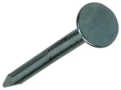 1017942 - PLAFONDNAGEL STAAL VERZINKT 250 GR 2,0 X 25 MM