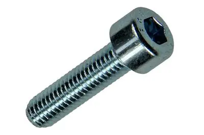 1017646 - BINNENZESKANT BOUT CYL.KOP VERZ. 10 ST M5 X 20 MM