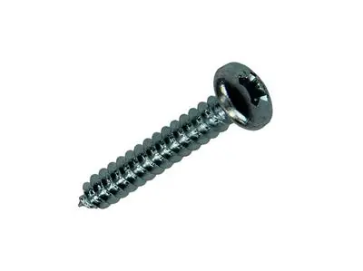 1018069 - ZELFTAPPENDE SCHROEF CYLKOP VERZ. 42 ST 4,2 X 25 MM