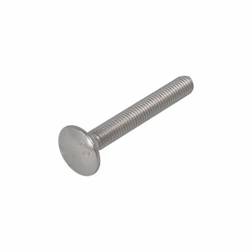 SLOTBOUT RVS-A2 DIN603 M10X40 (25)