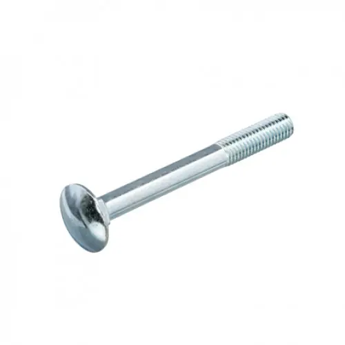 SLOTBOUT VZ 4.8 +MOER DIN603/555 M6X120 (100)