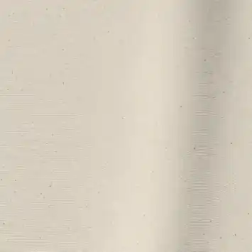 Vouwgordijn Rick 1558 naturel