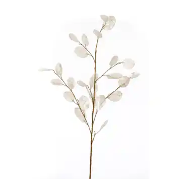 Emerald kunstbloem Lunaria spray crème 105cm