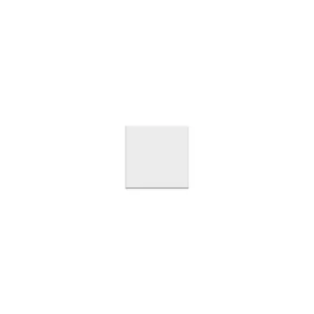 Wandtegel wit keramiek mat 15 x 15 cm 1m²/doos
