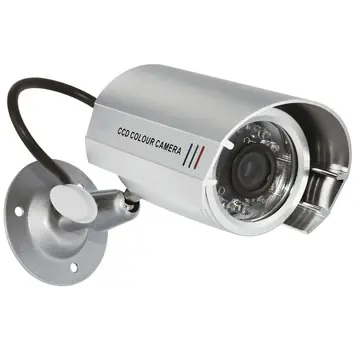 Smartwares Dummy Camera CS22D Binnen/Buiten Aluminium