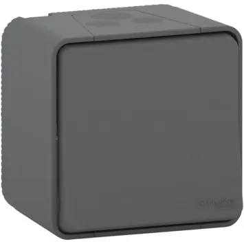 Schneider Electric Mureva Styl wisselschakelaar 2-polig IP55 antraciet