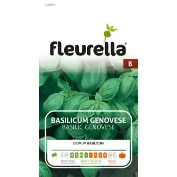 Fleurella zaden basilicum genovese